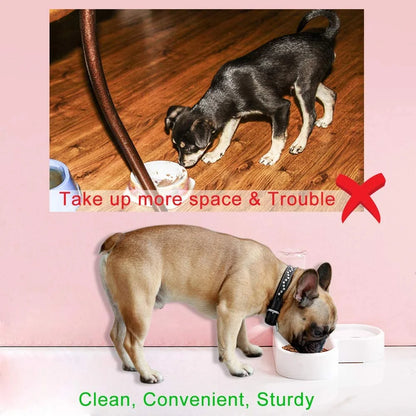 Pet Bowl Puppy Home Automatic Water Dispenser Cats Dogs Easy Clean PP Food Dish